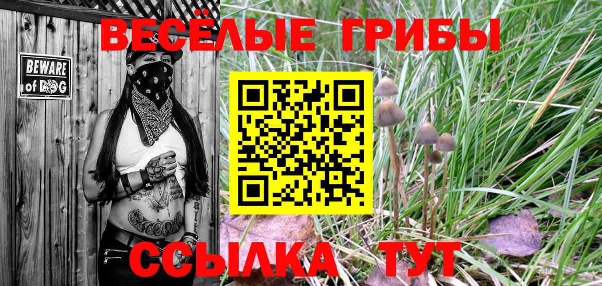 Псилоцибиновые грибы прущие грибы Конаково